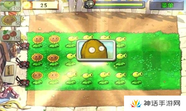 植物大战僵尸95版正版